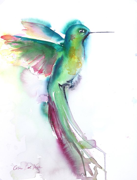 Long tailed Hummingbird