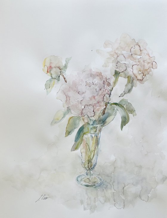 Peonies 50x65 cm 2025