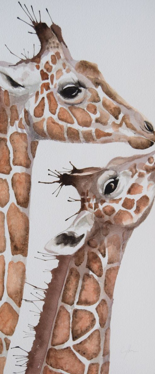 'Hi Mum' by Nicola Colbran