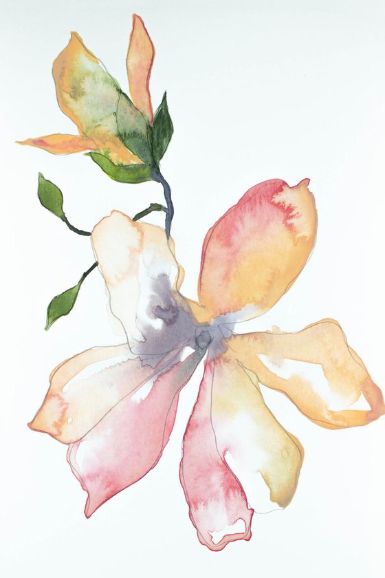 Magnolia Study No. 5