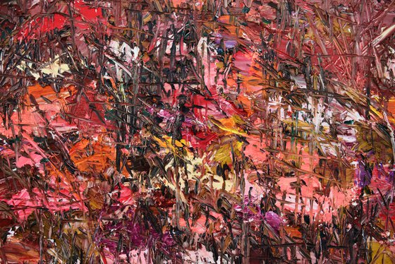 Wildflowers of Ngari