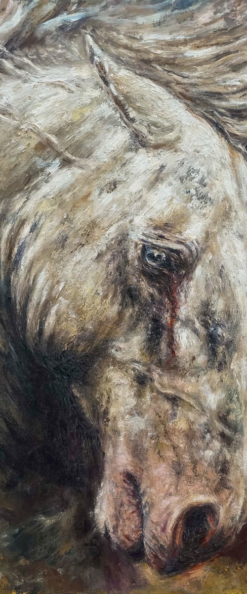 Wounded-Original Horse Portrait by Sabbi Gavrailov