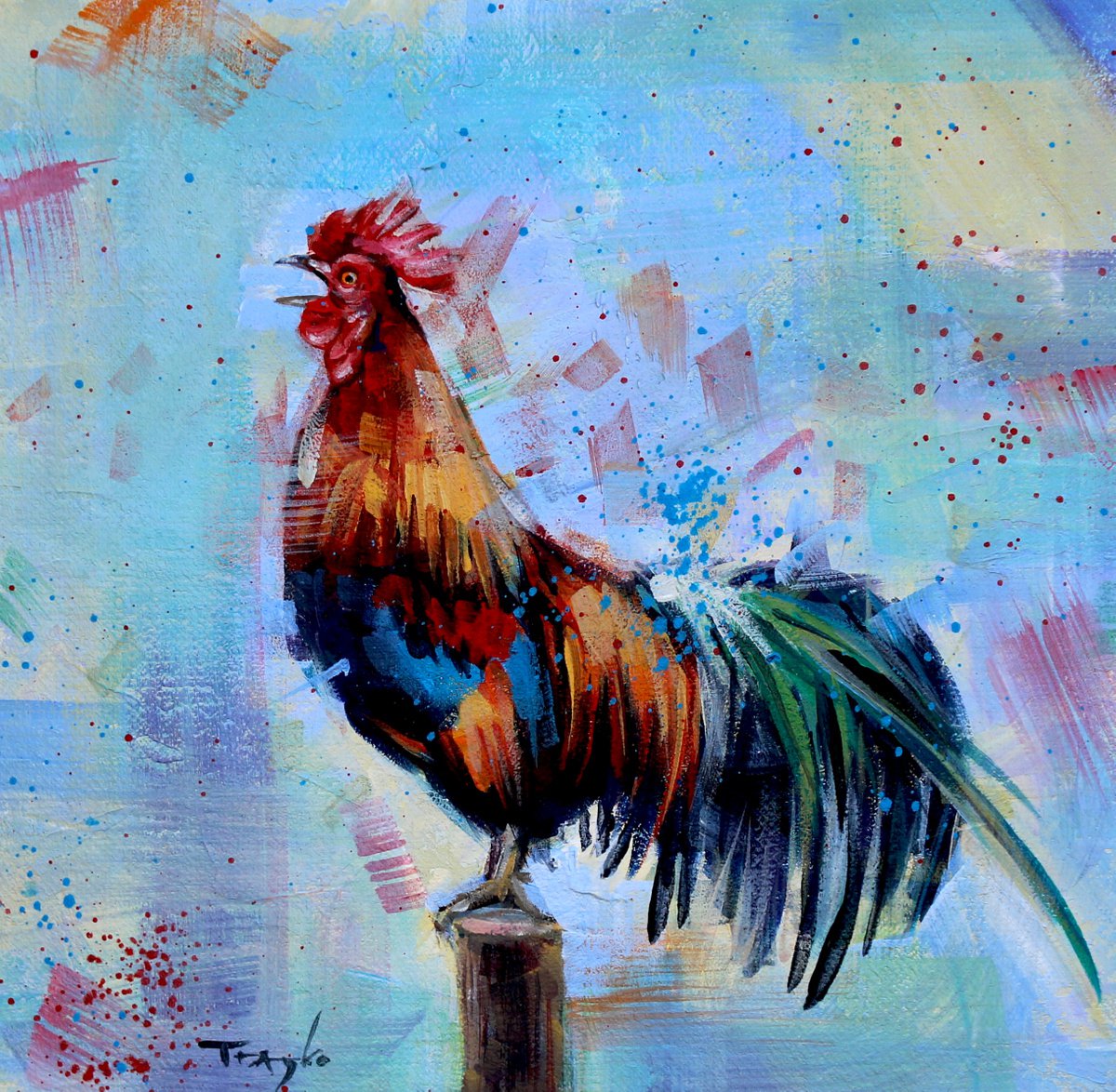 Rooster crowing | Early morning by Trayko Popov