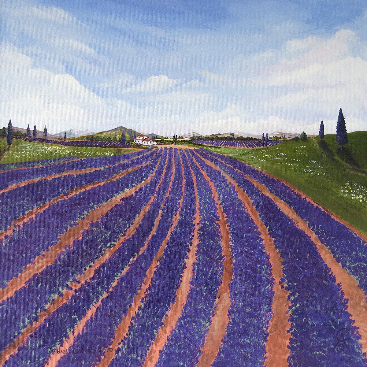 Provence Lavender by Andrew Cottrell