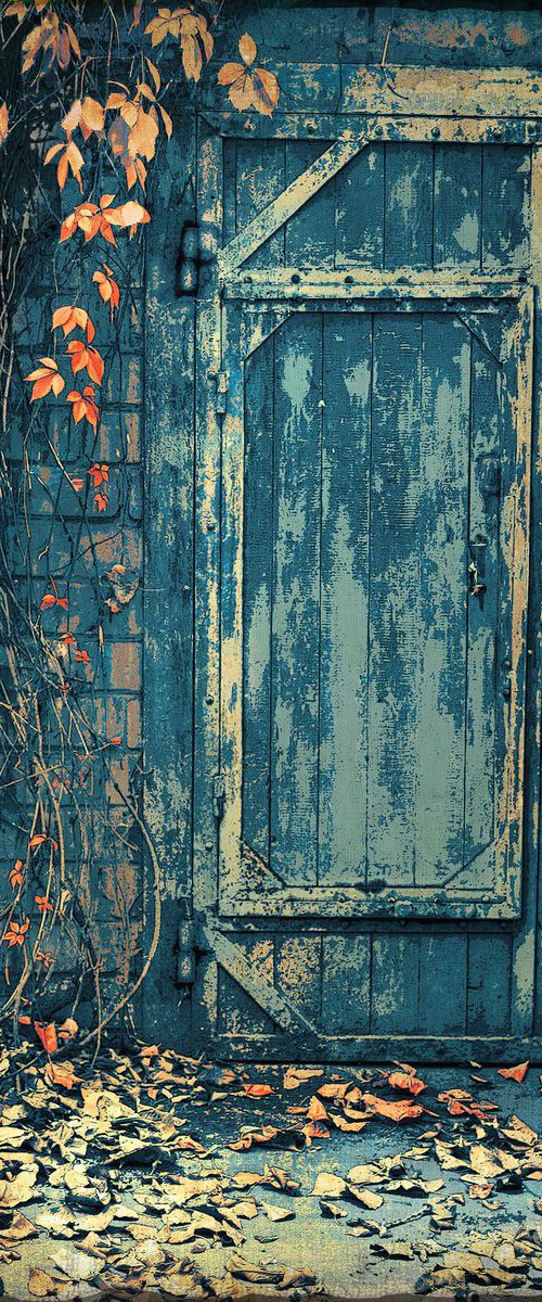 Cellar door. Autumn on the threshold. by Valerix