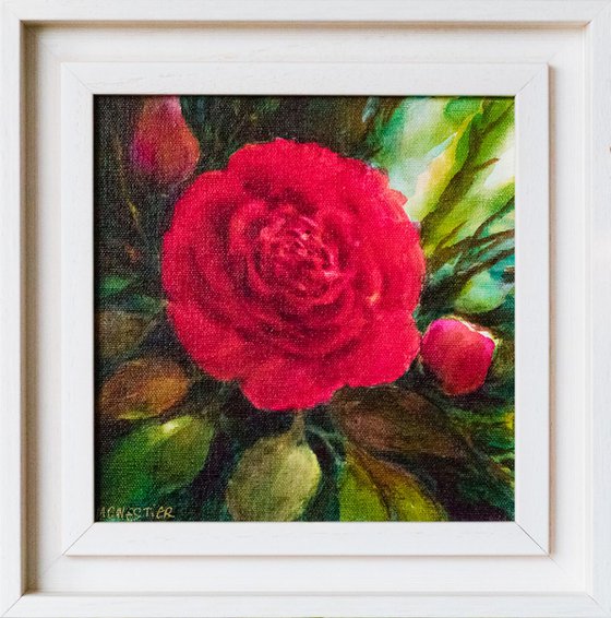 "Red Camelia flower" - FRAMED - small size floral painting - 20X20 cm