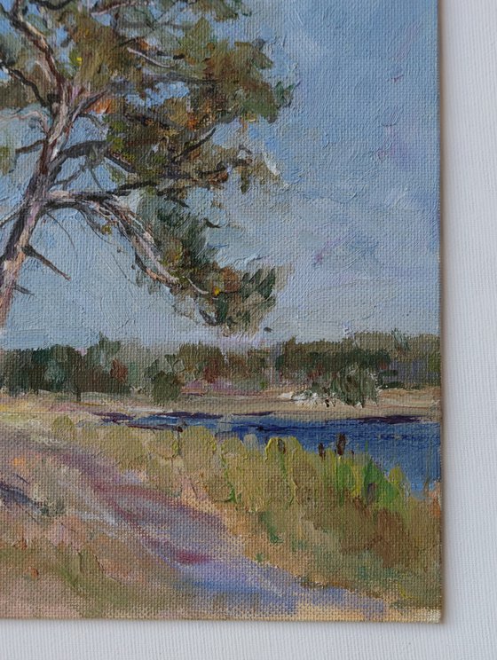 Pine Tree On A River Bank Study