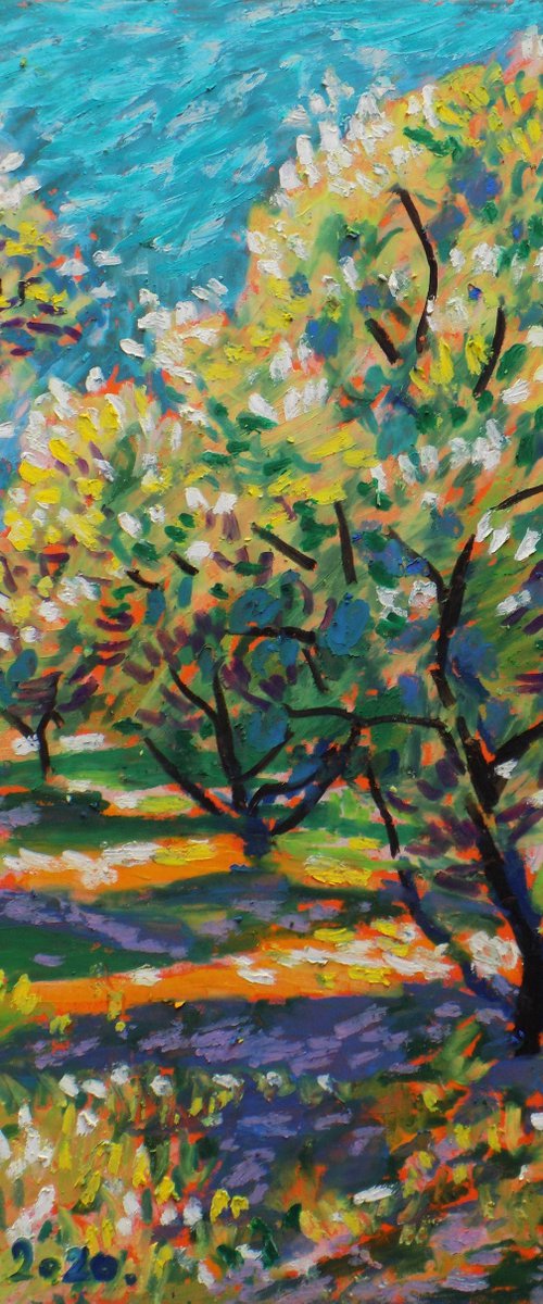 Olive grove No 22 by Maja Grecic