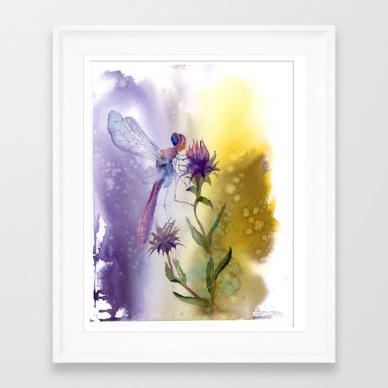 Dragonfly in violet and yellow colors