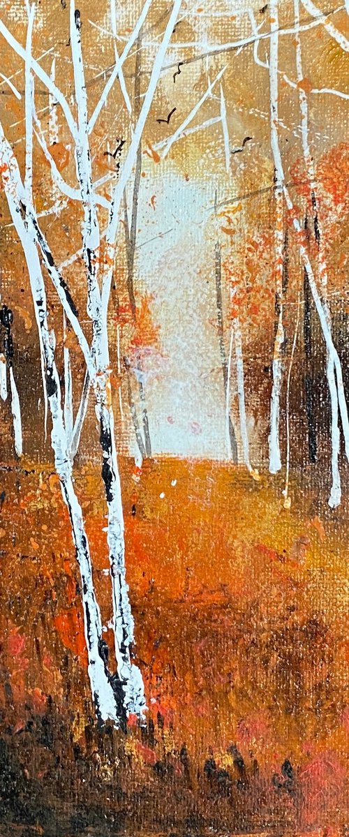 Autumn Slender Silver Birches by Teresa Tanner