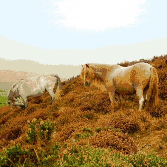 Mountain Ponies #2