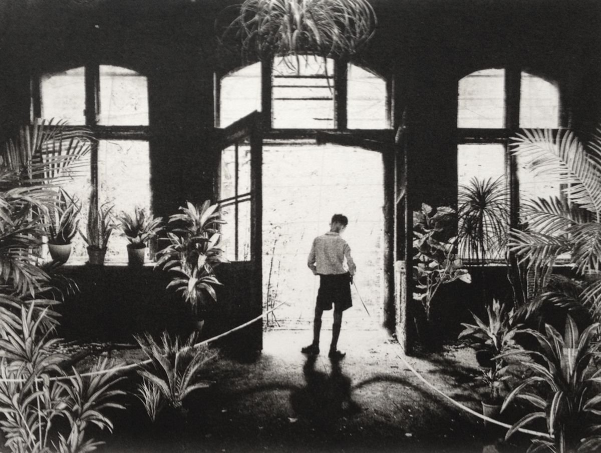 Botanical Etchings & Engravings By Jaco Putker, 13 X 10, Interior No.11, Original Artwork