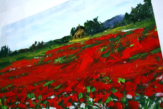 Poppies field II /  ORIGINAL PAINTING