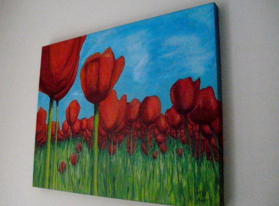 Red Tulips
