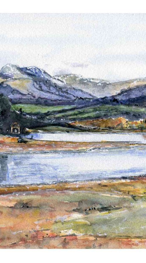 Wise een tarn - Claife Heights by Neil Wrynne