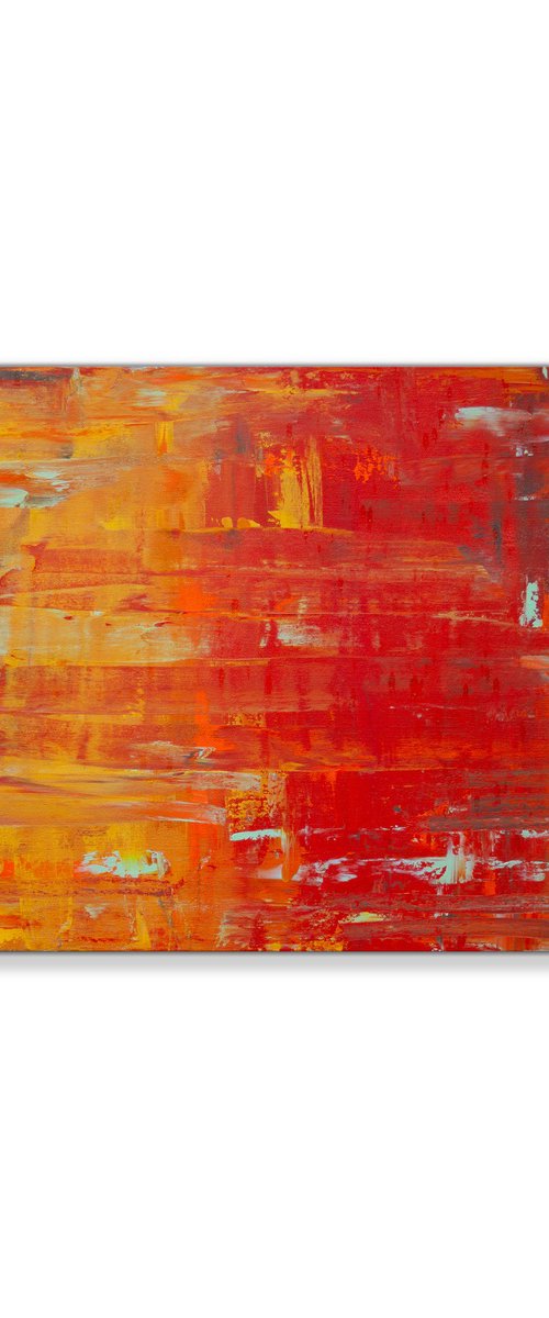 Where Light Rises by Hilary Winfield
