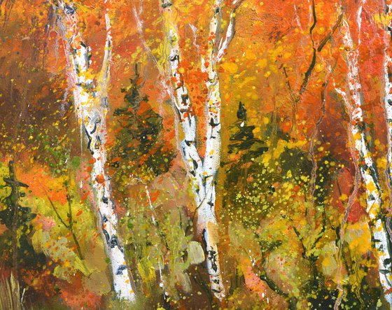 Aspen trees in autumn   76