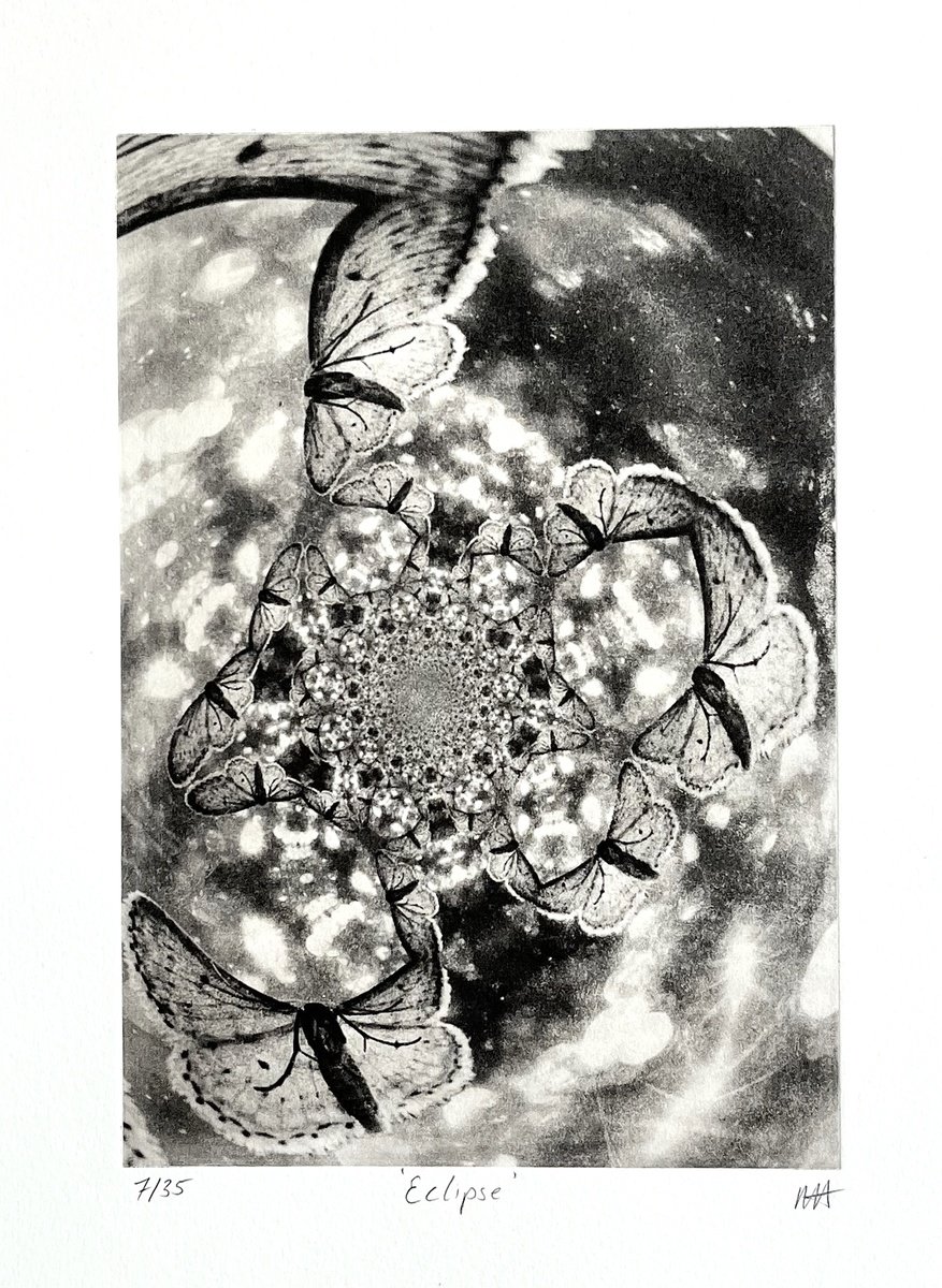 Geometric Animal Etchings & Engravings By Michelle Hinshelwood, 11 X 15", Eclipse, Original Artwork