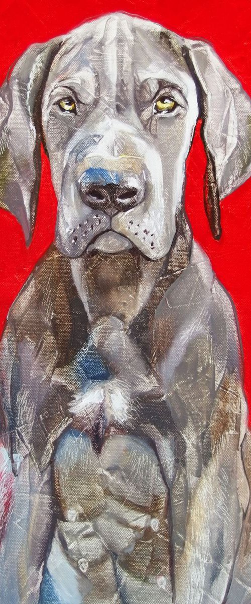 Great Dane by Silvija Drebickaite