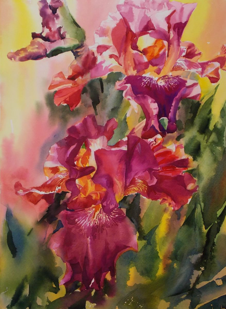 Red Irises by Yuryy Pashkov