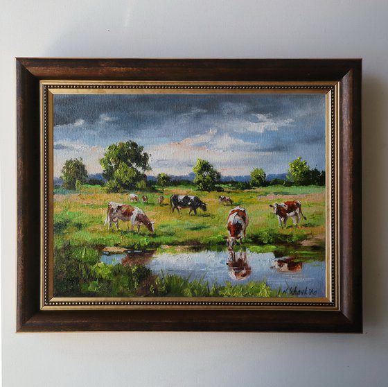 Grazing Cows