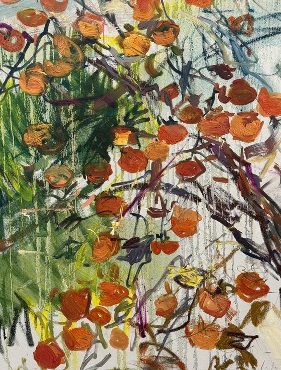 Sweet persimmons.