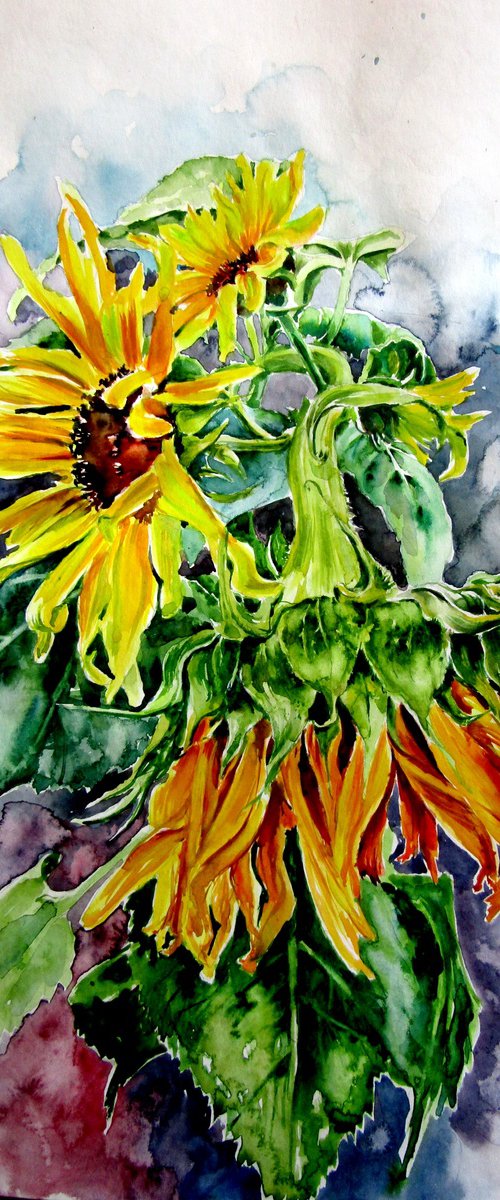 Sunflowers in the garden by Kovács Anna Brigitta