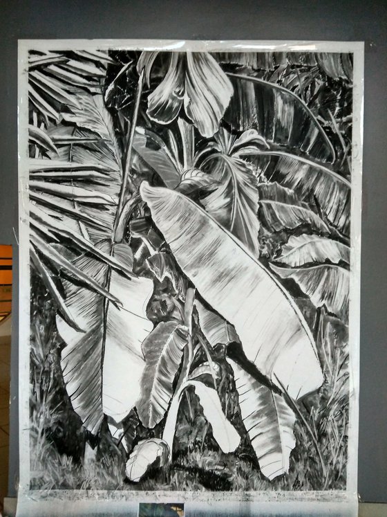 Thick Jungle (Charcoal Drawing)