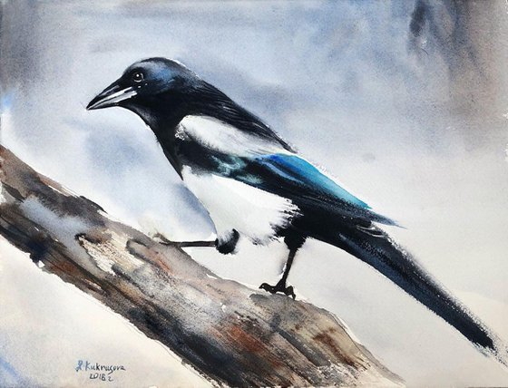 Magpie