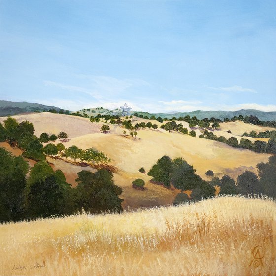 Stanford Satellite Dish