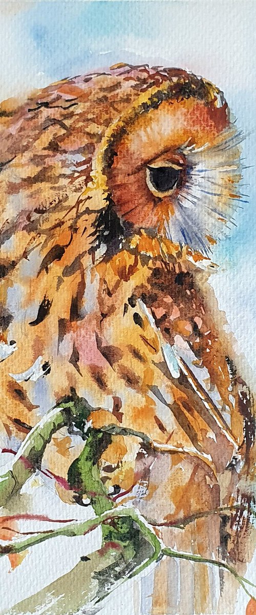 Autumn guardean ( watercolour Owl ) by Natasha Sokolnikova Watercolour Artist
