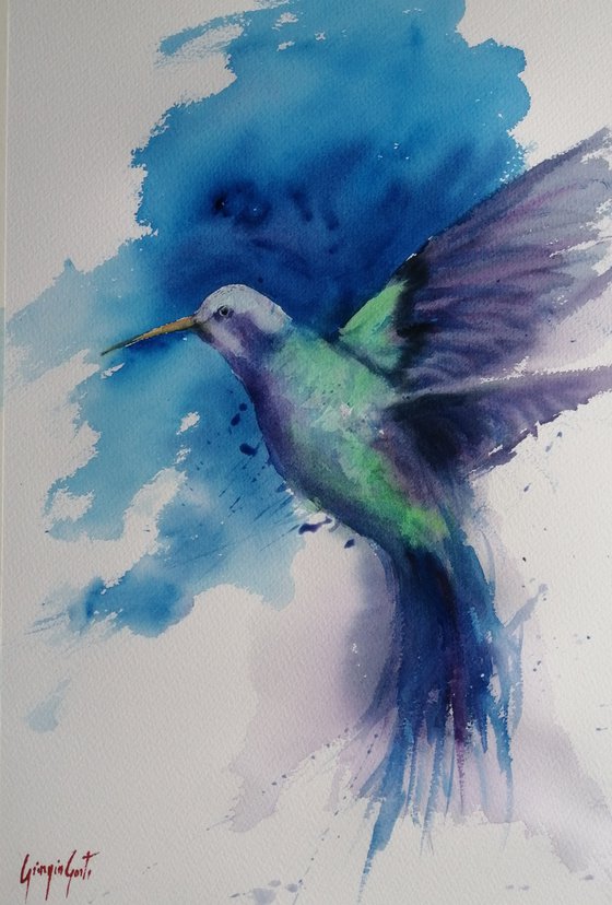 colibrì