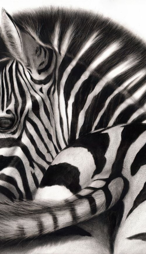 Zebra by Danguole Serstinskaja
