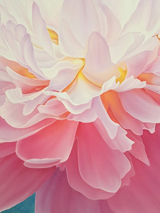 Peony glow