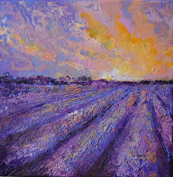 Lavender Field no2 (Small Landscape)