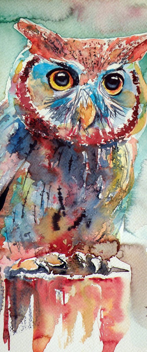 Colorful owl II by Kovács Anna Brigitta