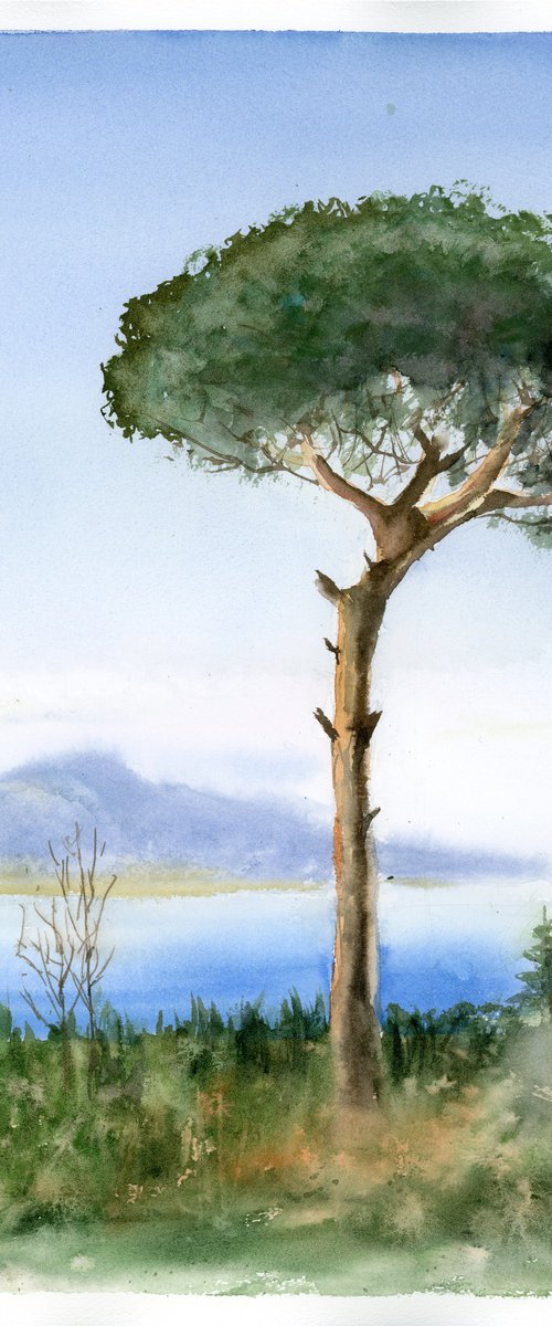 Captivating Italy: Pine Tree with Mount Vesuvius Backdrop by Olga Tchefranov (Shefranov)