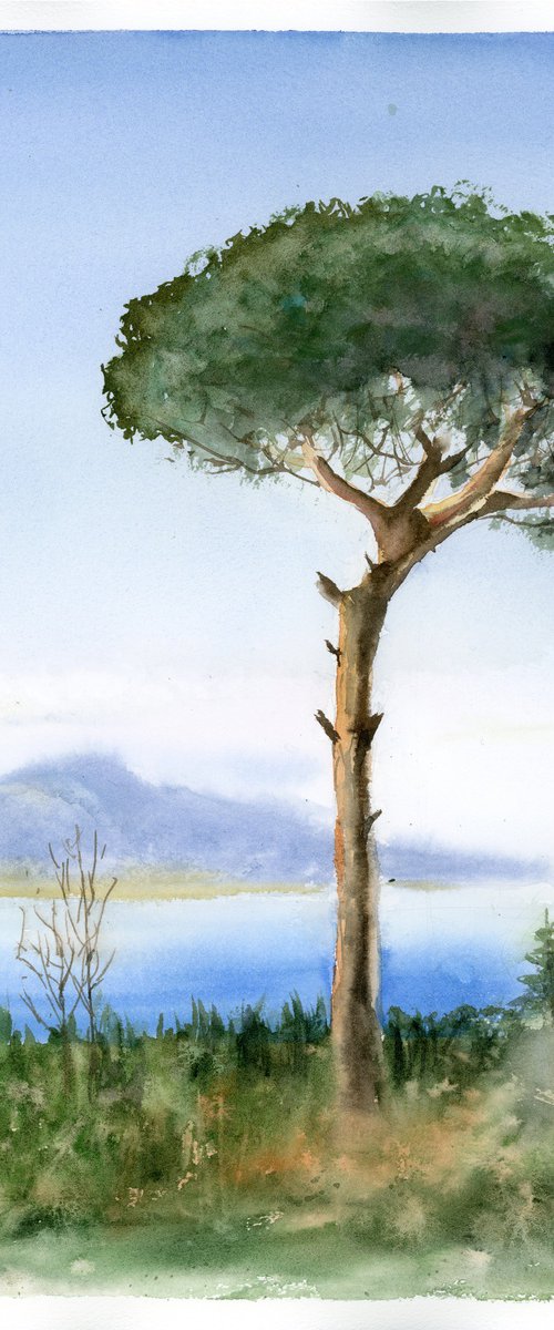 Pine Tree with Mount Vesuvius by Olga Tchefranov (Shefranov)