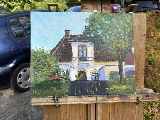 Afternoon light in Beilen