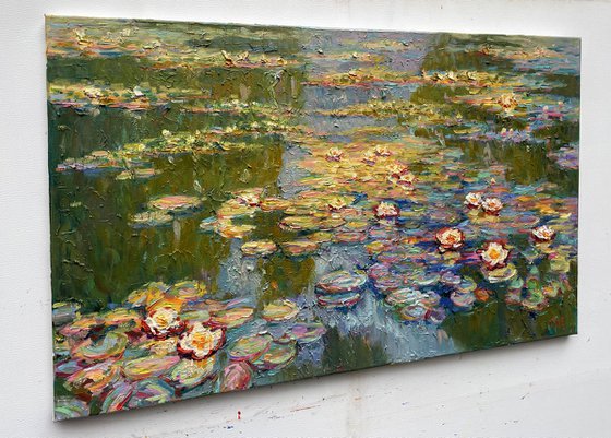 Water lilies in the pond