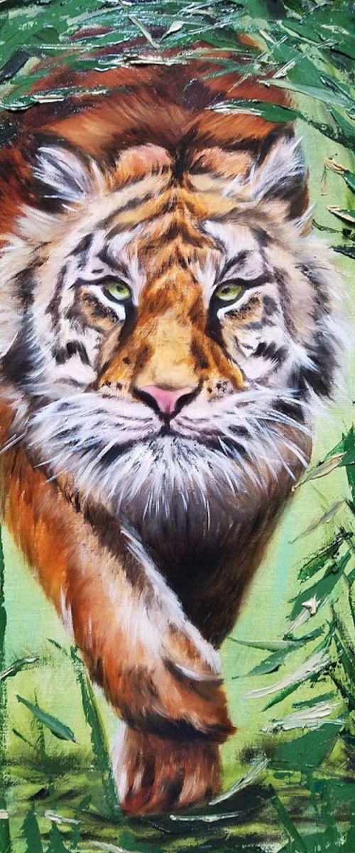 Roar,  Tiger in Grass by Nersel Muehlen