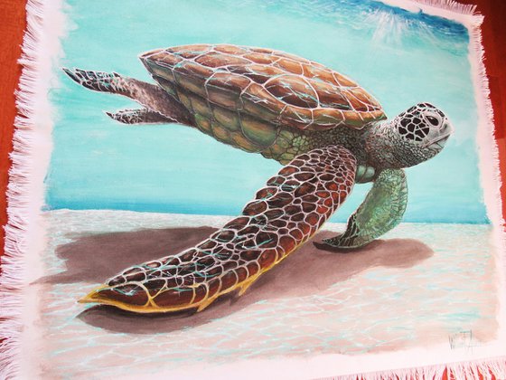 The Majestic Sea Turtle!