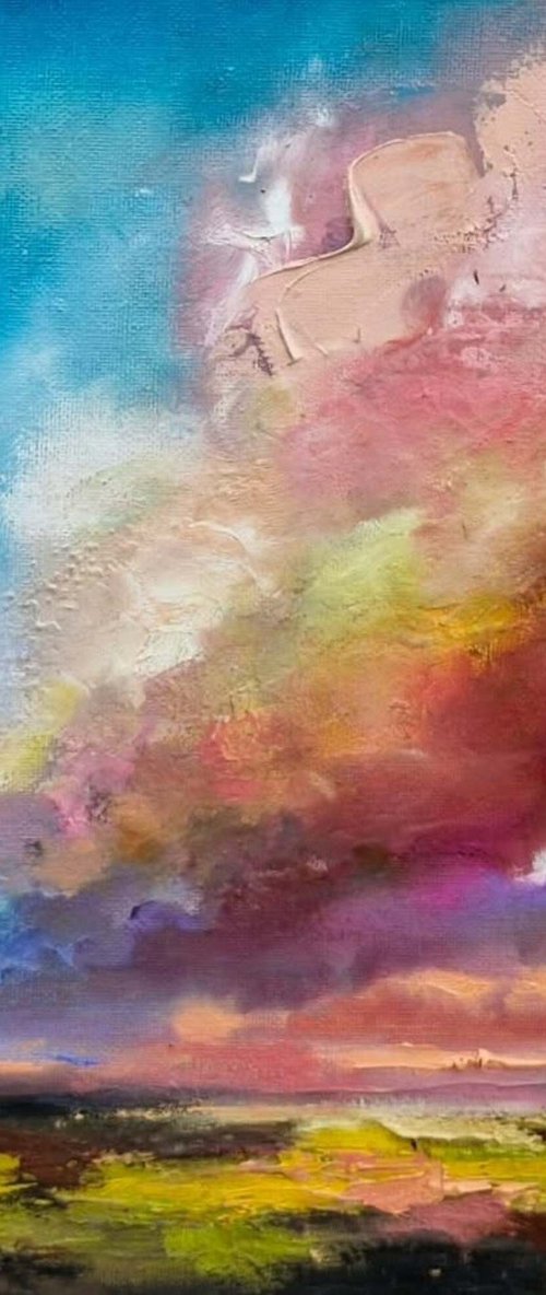 Fields of Light by Anna Schofield