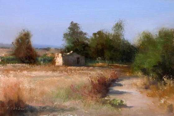 Shed in Provence