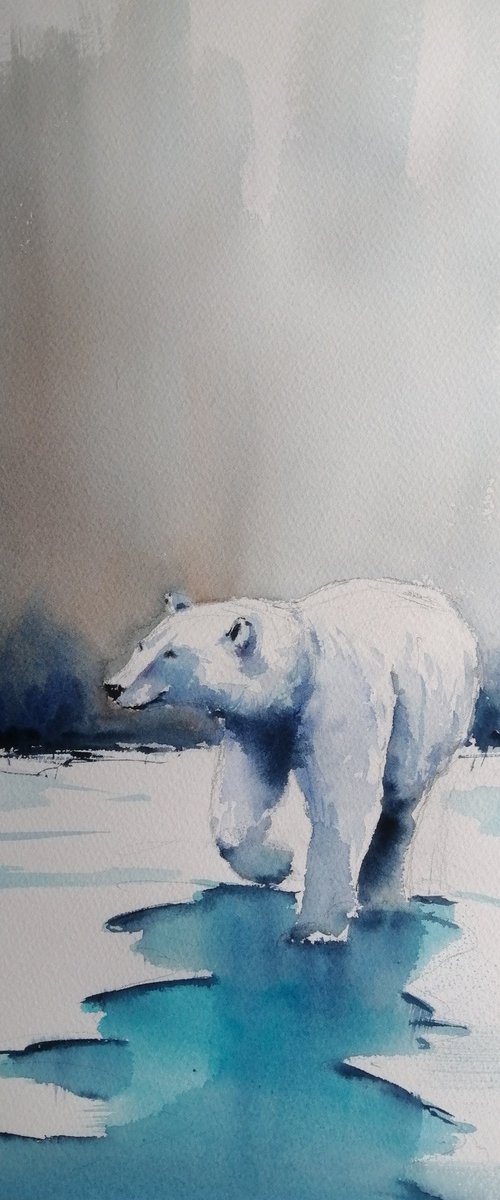Polar bear by Giorgio Gosti