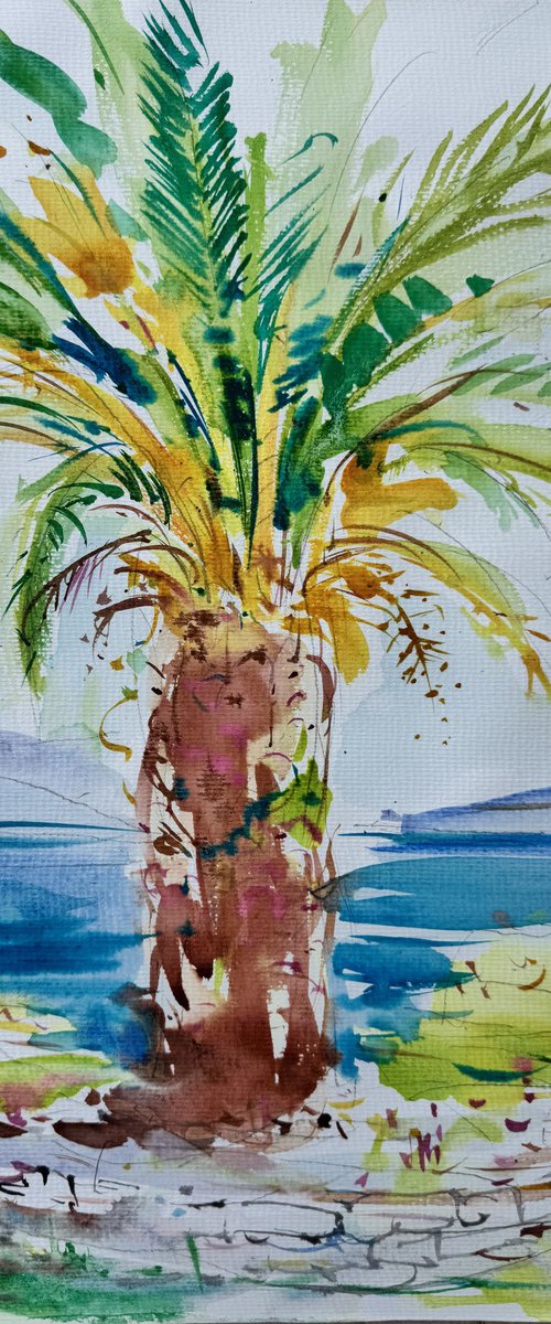 Mediterranean summertime by Altin Furxhi