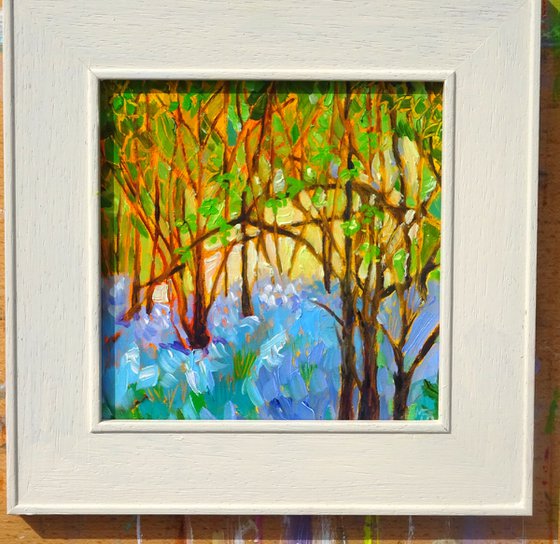 Spring Bluebells in Sunlight - Set of 2