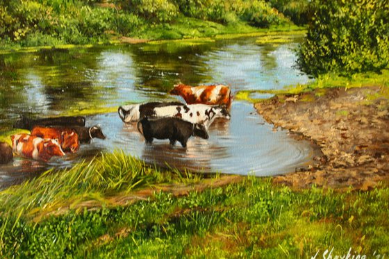 Cattle watering in a river, Pastoral Scene