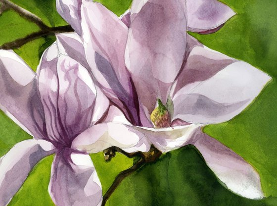 sign of spring