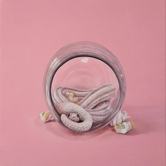 The Tiny Snake and the Candy Jar